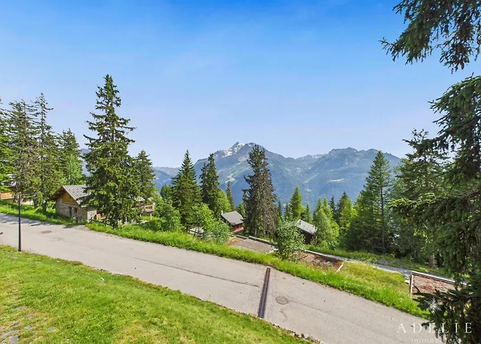 Chalet Savoyard pour 18 pers, proche pistes et commerces, cheminée, balcon, navette gratuite - FR-1-398-582
