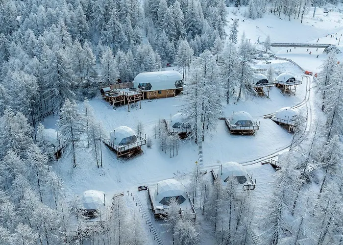 Hôtel accueillant les animaux: Alpin D'Hôme