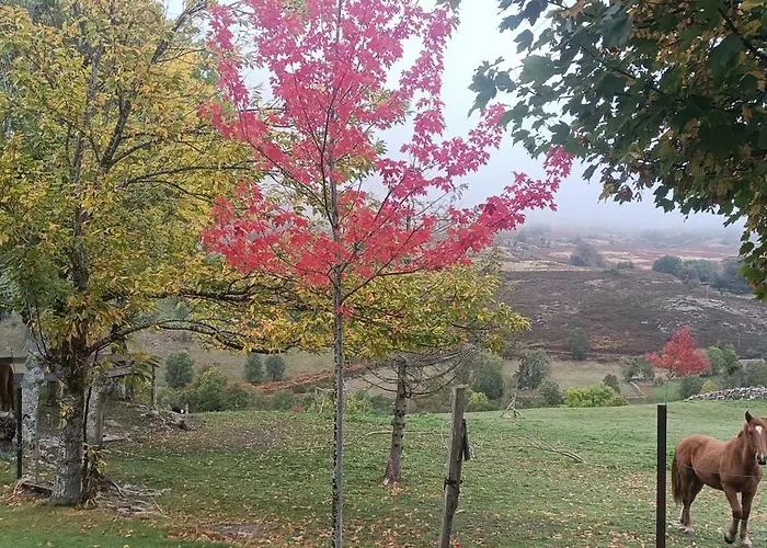 Casa Rincon Pasiego