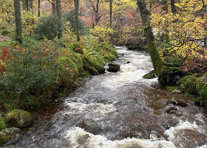 Cozy Loch Lomond Lodge 27, Rowardennan