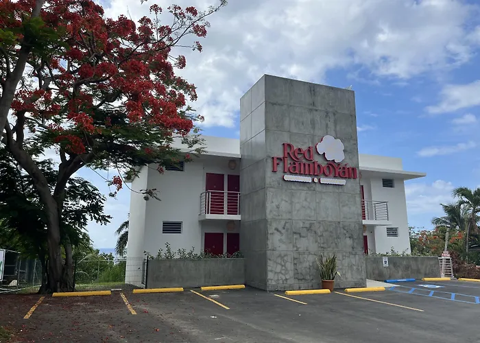 Red Flamboyan Guesthouse And Restaurant