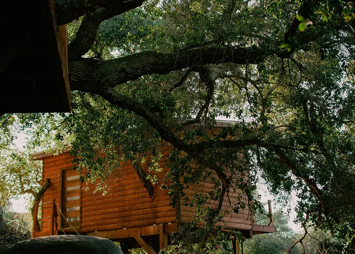 Resorts Guide Boskenvid - Romantic Treehouses & Skypool