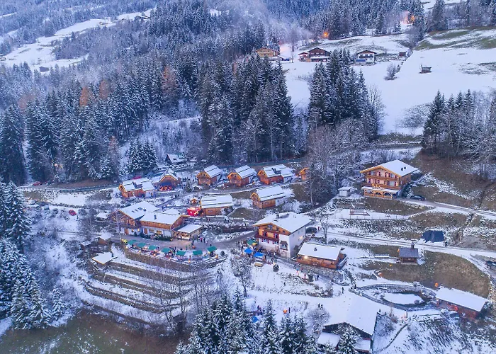 Chalet In Wildkogel Near Ski Slopes