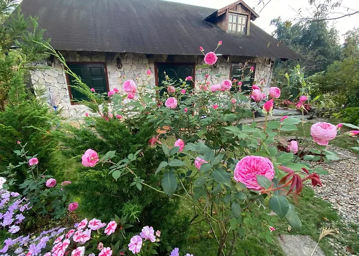 Vi'S House - Nature In The Middle Of Hmong Village