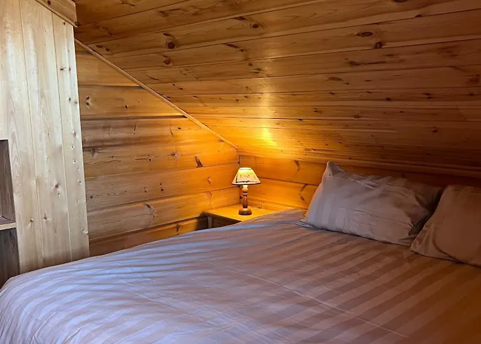 Chalet de Sophie sur piste / ski aux pieds