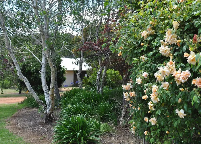 Big Brook Retreat