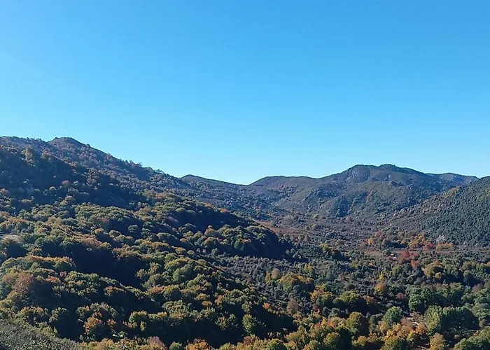 les chalets montagne du haut taravo