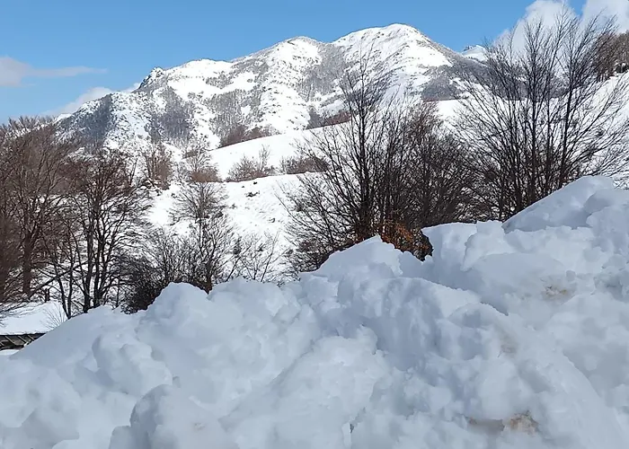 les chalets montagne du haut taravo