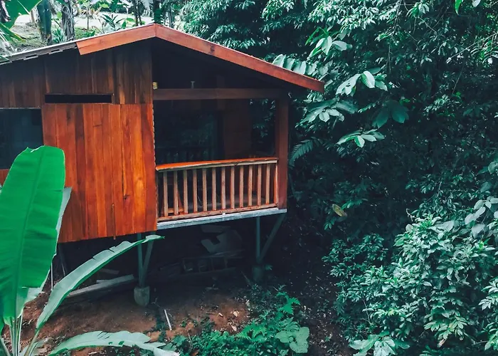Hotel near College: Arenal Rustic Lodge