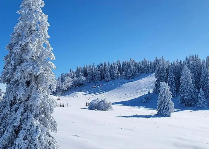 Chalet cosy entre lacs et montagnes