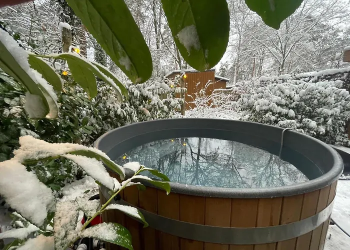 Forest Finest, Luxe Chalet Met Hot Tub Mooie Overkapping En Prachtige Tuin Met Veel Privacy