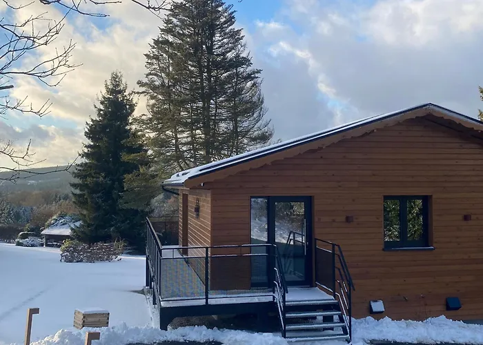 La Roanneuse - Cosy Chalet