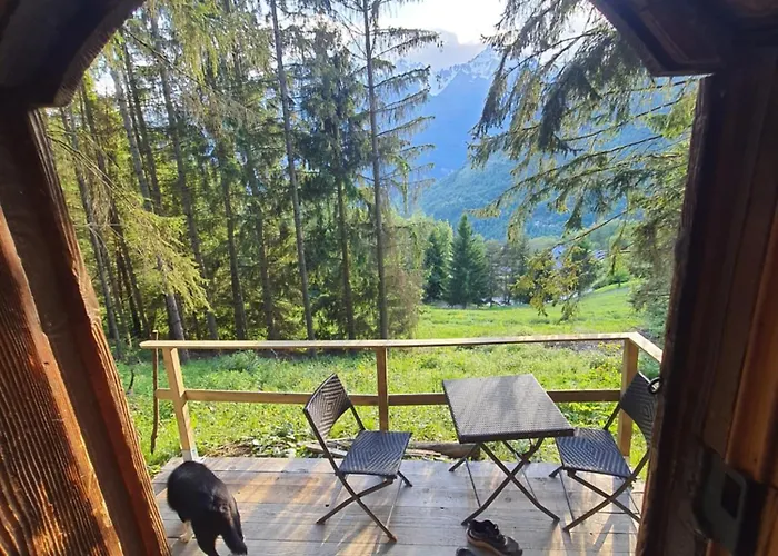 Chalet savoyard le Sapinet