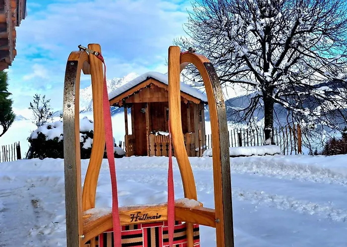 Panorama Chalet Höllmaishof