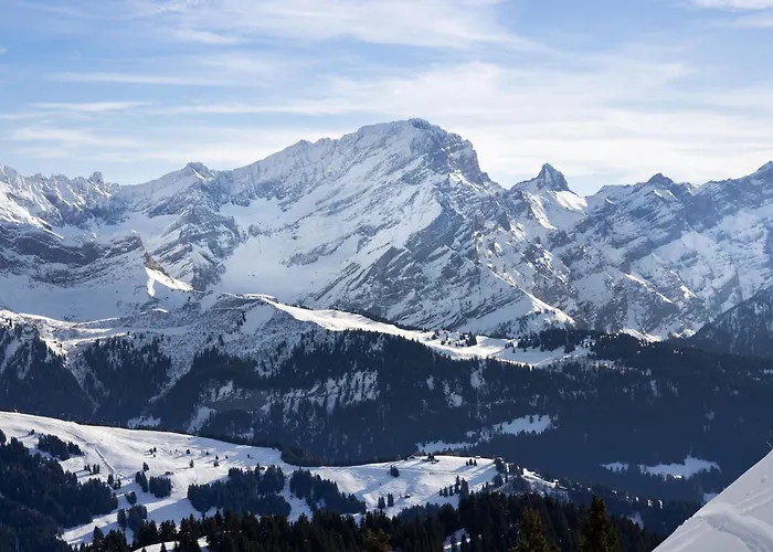 Chalet Chalet Le Haut Pre By Interhome