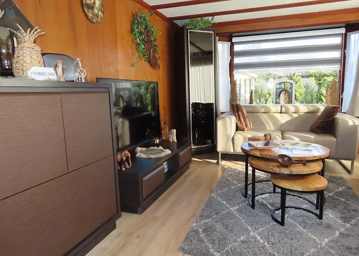 Veluwe Park Reewold Chalet Vision