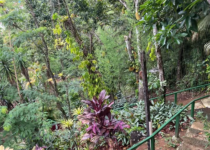 Chales Amanhecer E Entardecer Em Meio A Natureza