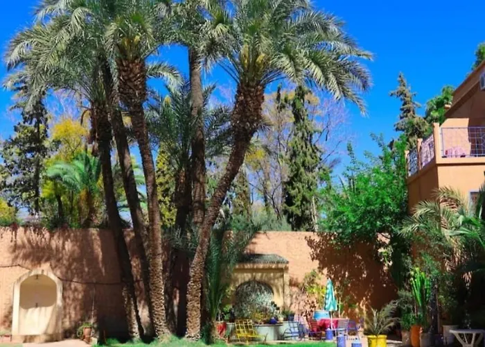 Riad Ayoub