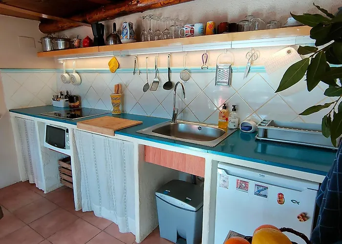 Cabana De Madera El Roserar De Montseny Homestay