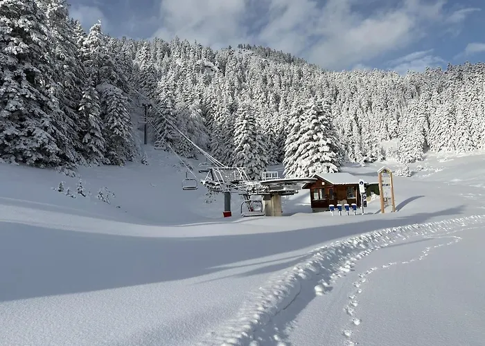 Les Bosquitos Chalet