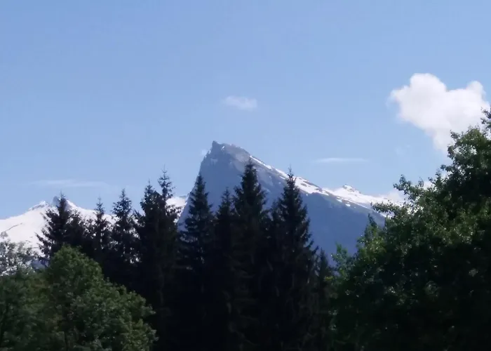 Morillon Village Chalet 10 Pers 4 Ch Vue Montagne Proche Centre Village Et Telecabine Accessible En 5 Minutes Via Skibus Gratuit