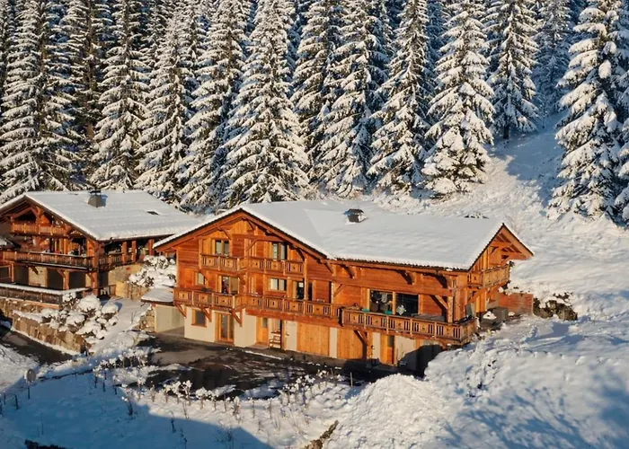 Chalet Arpitan - les Carroz - Grand Massif