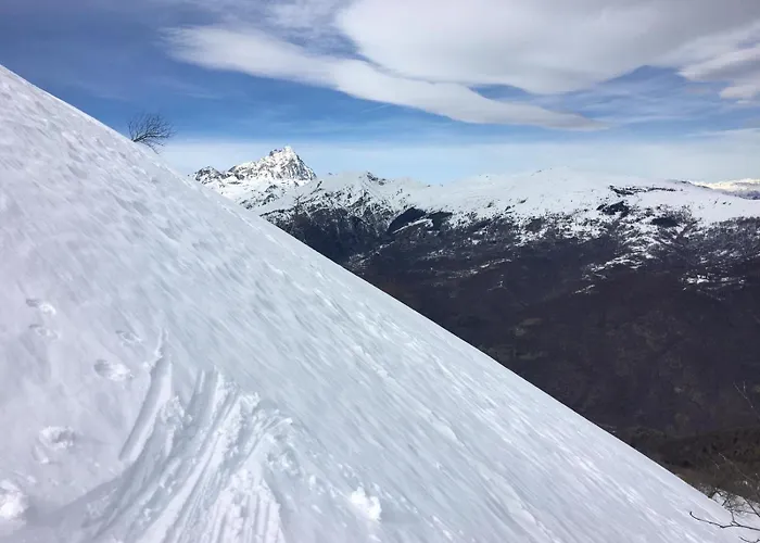 Baita Alpina Di Pinot