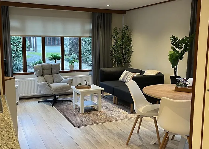 Viooltje In Het Bos I Knus Chalet Op De Veluwe