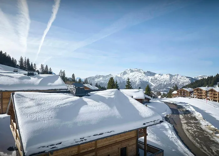 Chalet Matidi - Ovo Network