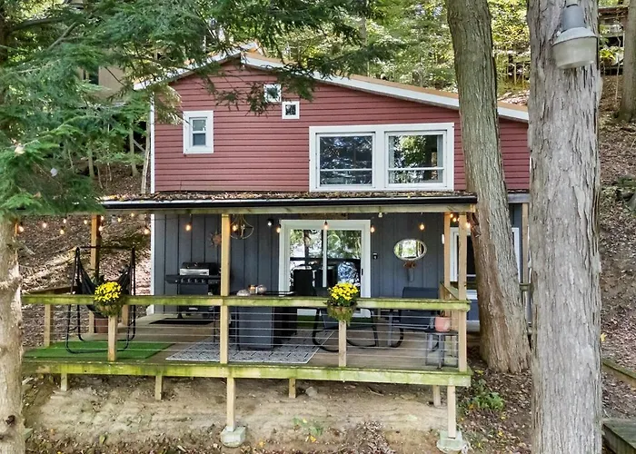 Magical Forest Cabin In Mohican