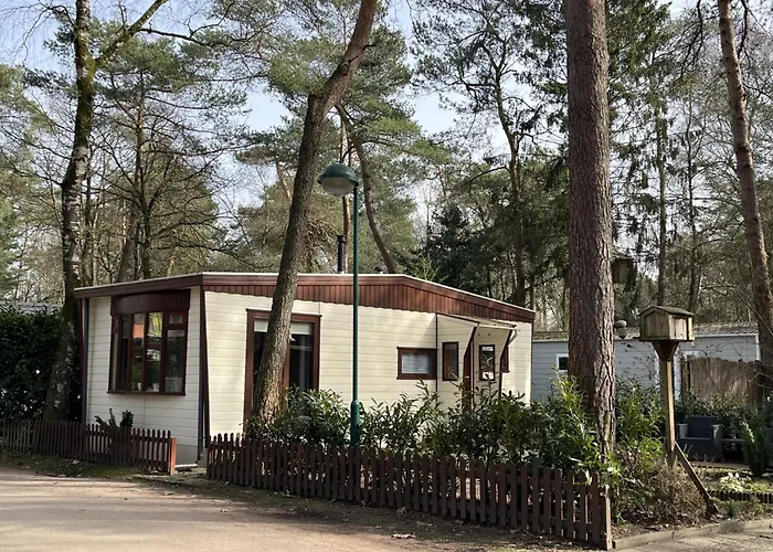 Viooltje In Het Bos I Knus Chalet Op De Veluwe