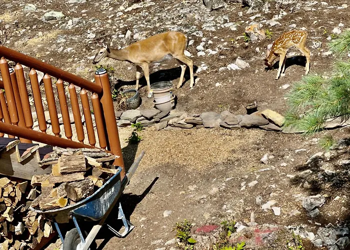 Jagerhouse - A Custom-Built Swiss-Style Luxury Mountain Retreat - 3 Bedroom Upper Level, 1 Mile From Bryce Golf & Ski Resort