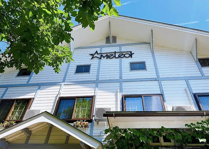 Hakuba Pension & Log Hotel Meteor