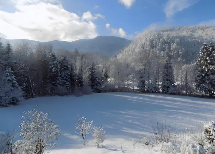 Chalet Des Charbonniers, Etang