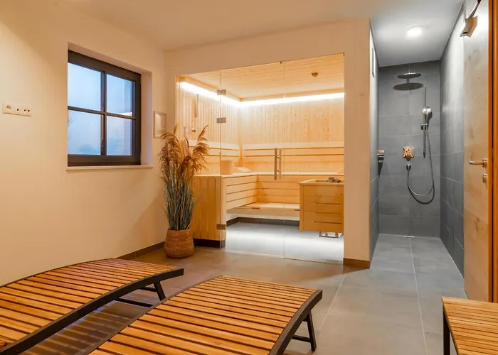 Pinzgau Lodge 2D