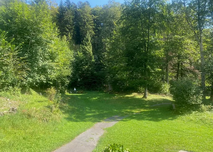 Chalet Montana Mit Bergblick