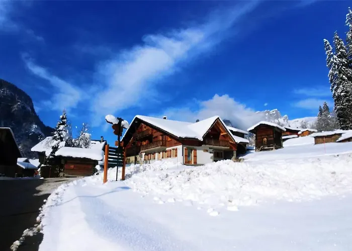 Les Salamanes - Chalet 6-7 pers