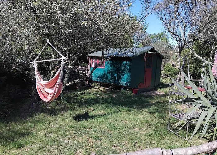 Cabane sous les oliviers