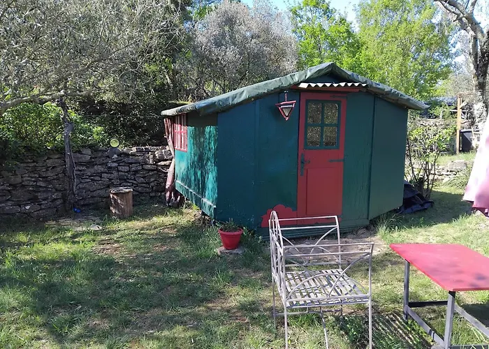 Cabane sous les oliviers