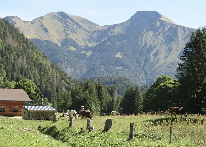 la Cabane dans les Arbres