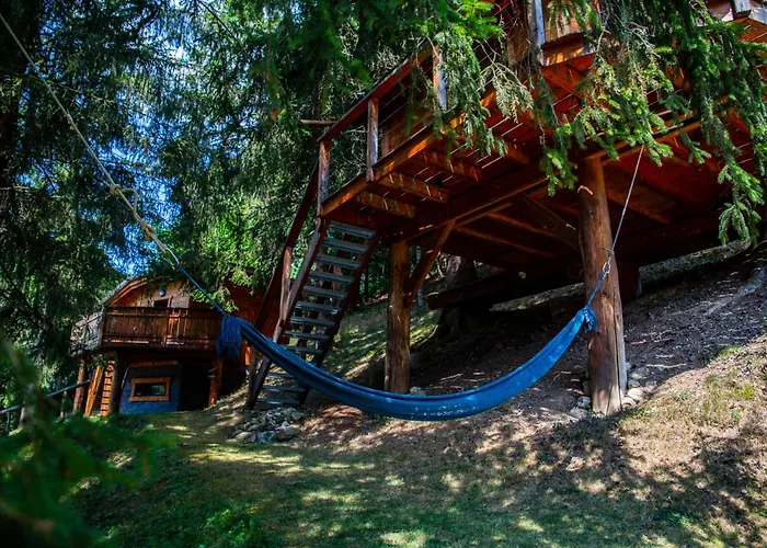 la Cabane dans les Arbres