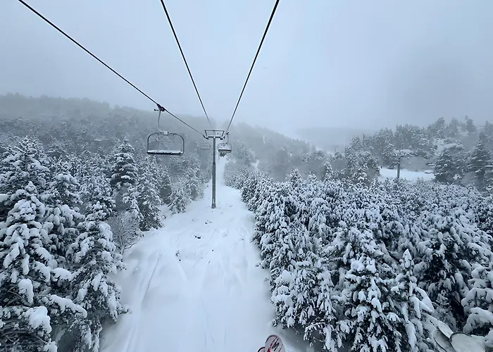 Chalet Nid Des Ecureuils