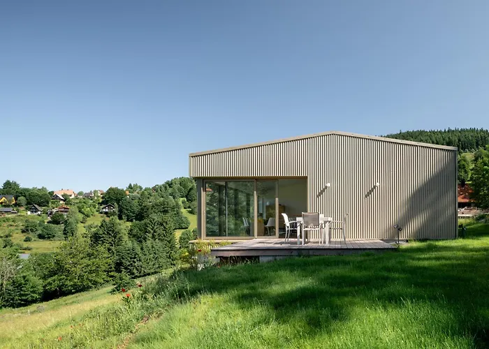 Chalet DU MERLE - CHAMP DU FEU - NEUF 5 ETOILES