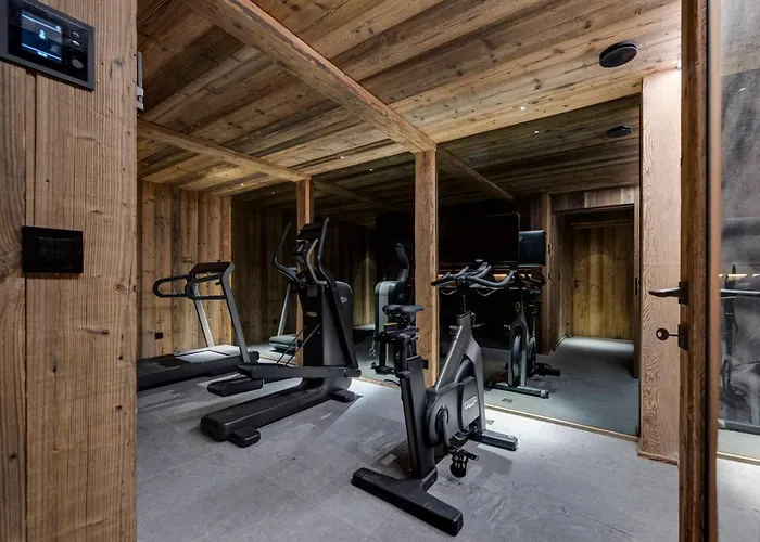 Chalet de luxe avec espace bien-être - 14 pers, sauna, cheminée - FR-1-690-38