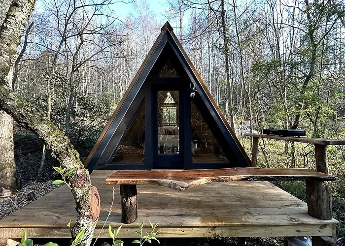 Secluded Off-Grid Cabin Retreat With Fire Pit & Sauna In Zirconia, North Carolina