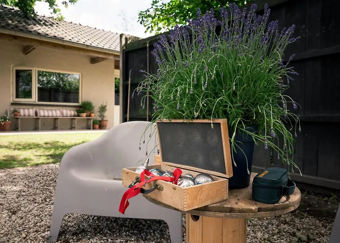 Chalet - Camping 'T Dekske