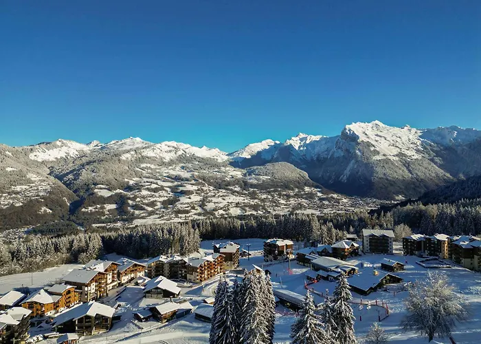 Charmant chalet rénové, 10-12 pers, au pied des pistes à Morillon 1100 avec sauna et terrasse! - FR-1-642-5