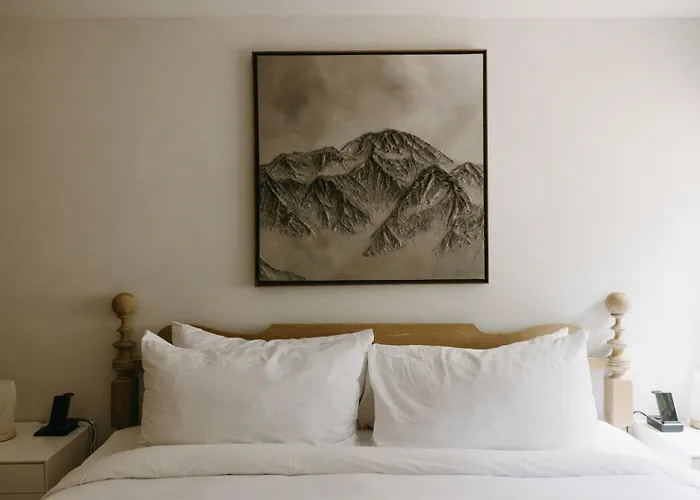 Haute Haus Aframe In Alma Colorado