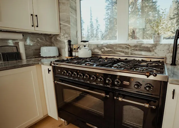 Haute Haus Aframe In Alma Colorado