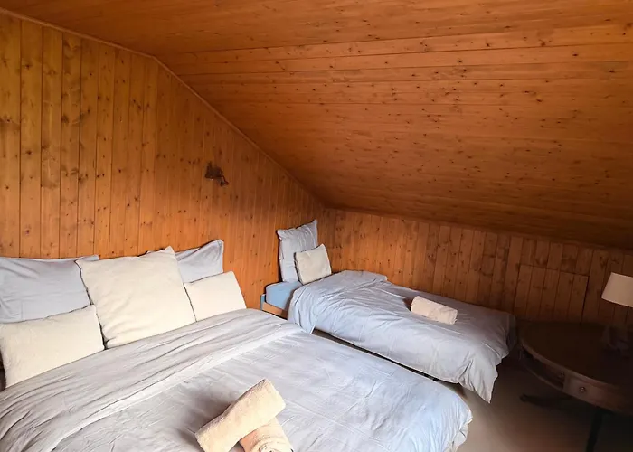 Cozy Le Lezard Chalet With Mountain View Fireplace